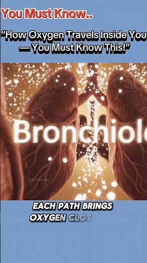 How Oxygen Travels Inside You #oxygen #bodyscience #educational