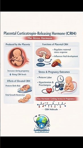 Placental Corticotropin-Releasing Hormone (CRH): The Stress Hormone. #studymedglobal