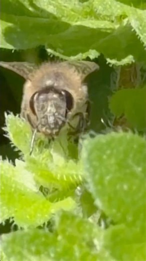 忙しそうな仕事をみつめた日