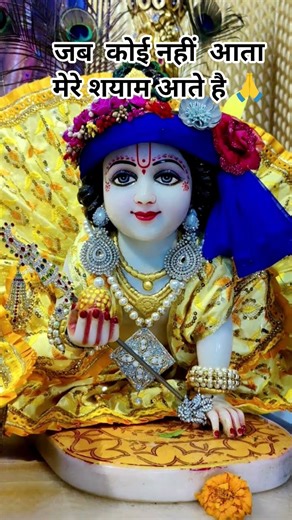 जब कोई नहीं आता मेरे श्याम आते हैं🌺🙏 #shorts #youtubeshorts #trendingshorts