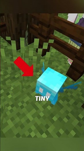 Secret That Breaks Minecraft 🤯 #minecraft