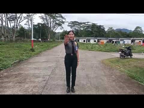 Traffic management hand signaling 🚦🚥🤚