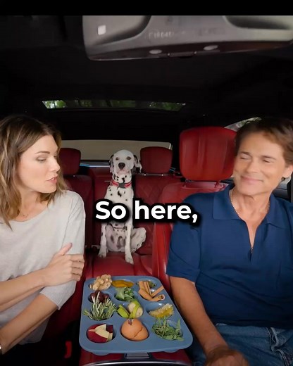69 reactions | Actor and dog-dad Rob Lowe says: NEVER feed your dogs these foods!  ❌ Avoid these “No Go” foods at all costs if you want your dog to feel their best. ✅ Instead, reach for the “Go foods” the actor shares in this video — watch it now to see what to feed your dog to give them more energy, flexible joints, strong muscles, and a full, healthy life.  https://rebrand.ly/RobLoweDogFood | Rob Lowe | Facebook