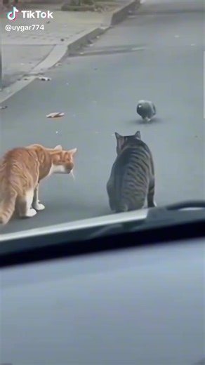 WORLD NEWS AND KNOWLEDGE 2025! (@baluwatar.excel.fu)’s videos with original sound - WORLD NEWS AND KNOWLEDGE 2025!