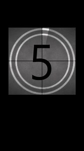 #shelterpets #fyp #adopt #loveagain | Montgomery Humane Society Adoptable Pets