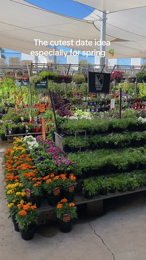 Honey Bun Date Ideas on TikTok