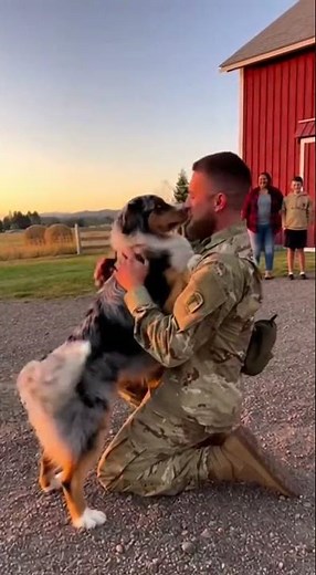 The Most Dramatic Animal Ever 😭