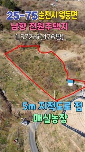 25-75s[땅이야기TV] 매매3500만원 5m지적도로에 접 토지면적1572㎡(476평) 산 아래를 내려다 보는 남향 농업경영체등록 농장 가꾸며 전원주택짓고 전원생활하기 좋은 곳