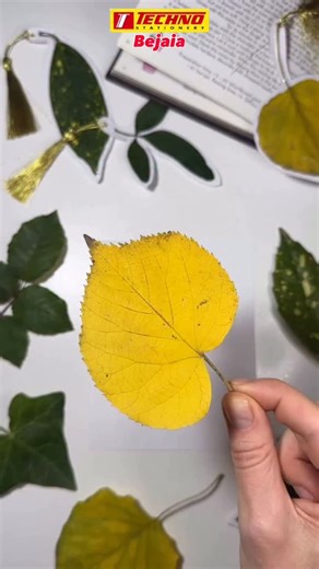 Techno Bejaia | #Technobejaia #Diy #créativité #automne #lecture | Instagram