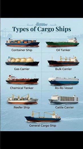 Types of Cargo Ships 🚢🌍
