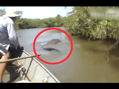 15 Amazon River Monsters