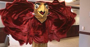 The Hawk will debut new look during St. Joe's men's basketball season opener