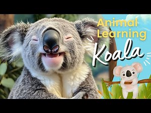 Koala For Kids 🐨🌟 | All About Koala | Koala Sound | Koala Facts | Koala Bear | Koala Learning Video✨