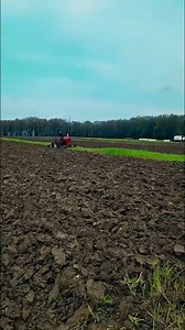 Farmall 806 for Sale #farmall806 #vintagefarm #farming #farmallfanatic (720p)#tractor #amazingpeople #truck #johndeere #farmmachineryfanatic #BlackDash.mp4 | Camp2