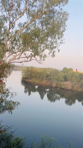 Beautiful Morning 🌅 | Aarogyam Yoga Studio