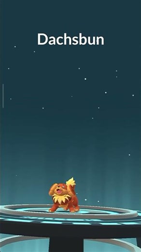 #EVOLUCIONANDO A #FIDOUGH #gameplay #pokemongo #pokemon #android #shorts #evolución