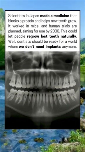 New teeth growing naturally? Human trials start soon—dentists may never be the same.