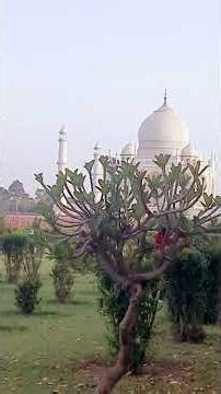 The secret beauty behind the Taj Mahal 😍 | Back view of Taj Mahal! | Real Beauty Revealed
