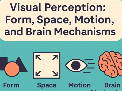 Visual Perception: Form, Space, Motion, and Brain Mechanisms | Teaching Resources