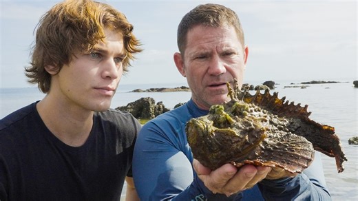 Deadly 60 - Series 6: 7. Camouflage Killers