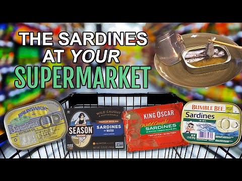 Common Sardines REVIEWED! | Canned Fish Files Ep. 20