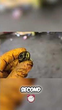 2019-2022 Chevy Malibu DIY Oil Change: Easy Step-by-Step Guide 1