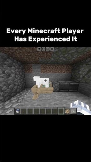 Don't Watch Till the End 🔚