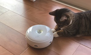 This Japanese robot toy is made for your cat to play with