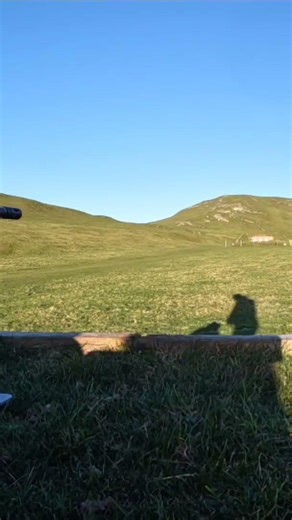 .308W Savage Mod10T GRS Vs .223R Savage BVSS @300y - Jan 2026 Thorpe