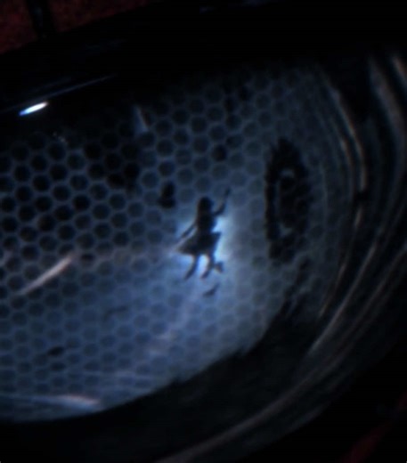 No better way to end it off than with the goat #edit #theamazingspiderman #fyp #the1975 #spidermanbrandnewday