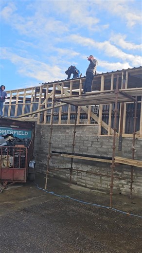 Some weekends work 💪👏🤝👊 Jonathan Pollock and his apprentices......I think I'll stick to the day job! # many hands make light work 🤗 Megann Ferry Adam Pollock Jodi Pollock Reece Pollock Jason Pollock Helen O'kane | Julie Pollock