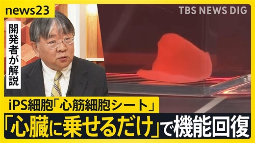 自らピクピクと…なぜ動く？“世界初”iPS細胞「心筋細胞シート」で心臓の機能回復　開発者がスタジオ解説「第一歩が踏み出せた」【news23】 | TBS NEWS DIG