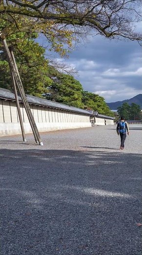 (春夏秋冬)京都・京都御苑の四季風景[4seasons in kyoto] #kyoto #そうだ京都いこう #japan