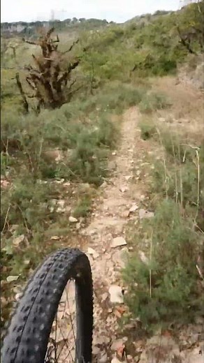 VTT descente du Canyon de l'Alzou suite