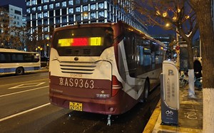 [线路已撤销·彩虚坤上高速]北京公交DZ011102(定制111晚班)前方展望(日坛路→丽园路口北 全程倍速POV)