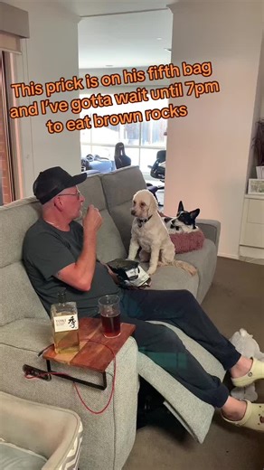 Dog Drinking Tips for Happy Pets