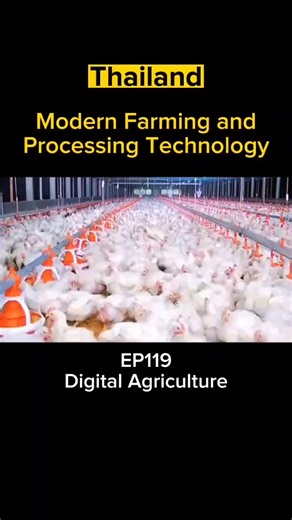 Innovative Agriculture Techniques in Thailand