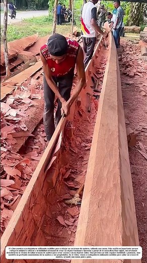 Tallar la madera: Cómo los artesanos crean una canoa con precisión