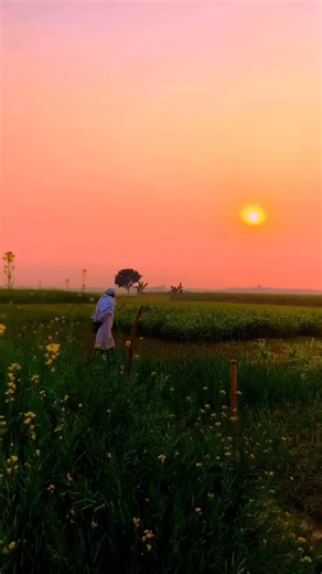 Instagram video by Aj Anaj • Jan 28, 2026 at 3:45 AM