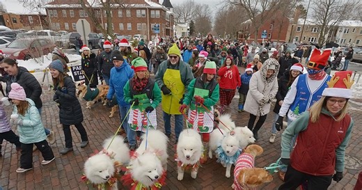Reindog Parade brings canines, families to St. Joseph