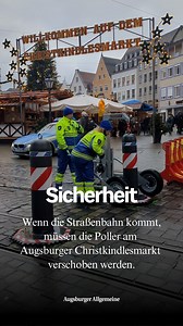 Poller, die Waldfee! | Augsburger Allgemeine