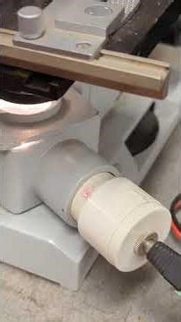 Unfriendly Raphides in Monstera plant fruit (unripe, anyway)