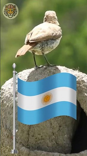 What Is the National Animal of Argentina?