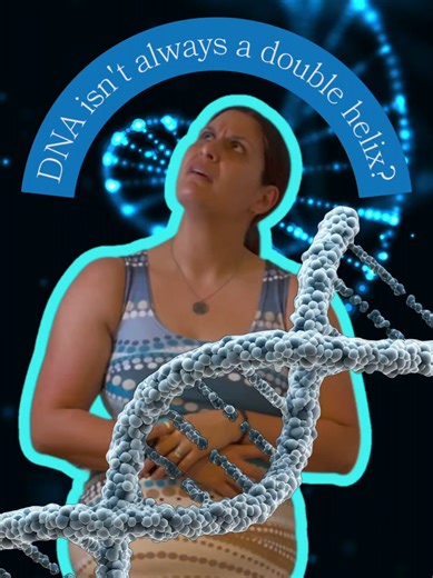 The DNA Structure That Only Appears When the Cell Is Alive What if DNA doesn’t always look like the classic double helix? Enter i-Motif DNA — a strange, folded DNA structure that forms inside living human cells, but only under very specific conditions. Unlike the familiar double helix, the i-motif twists into a four-stranded knot, held together by interactions between cytosine bases. For years, scientists thought it could only exist in test tubes under acidic conditions — too unstable to survive