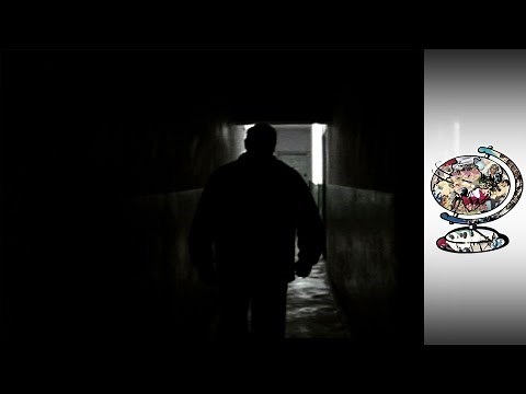 On the Trail of the Illicit International Organ Trade