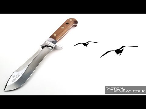 Puma Automesser (2024 Update) - Detailed Review