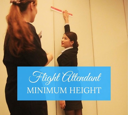 How Tall to be a Flight Attendant? Airline Height Requirements