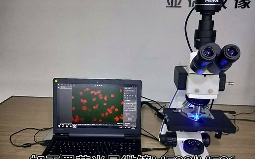 显微镜怎样看病毒，病毒学研究用什么显微镜