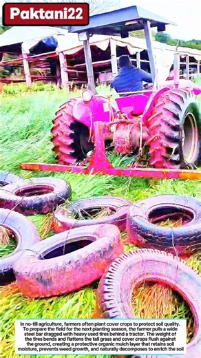 Clever Farming Hack: Rolling Cover Crops Using a Tractor and Used Tires #farmlife #ideas #smart #fyp