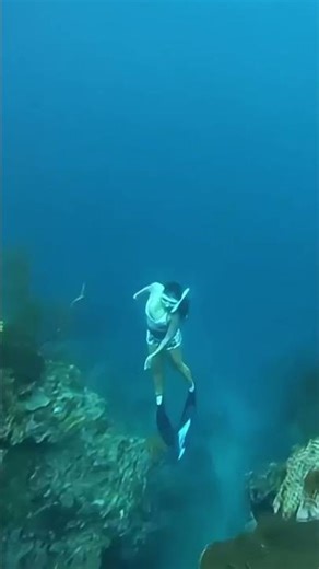 Dreamers make it happen Mermaid Free Diving Menjangan Island Buleleng Bali #fyp #underwater